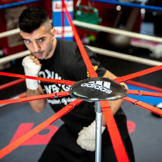 Adidas Boxing Ring Dodging System