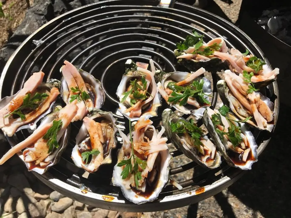 Backyard Fire Pit with Stabiliser, Swinging Grill, BBQ Pan & Cradle