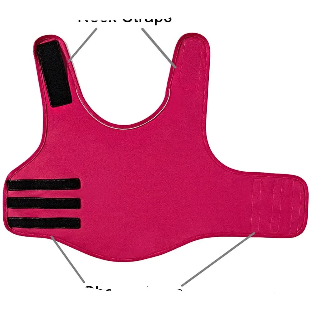 Dog's Reflective Vest