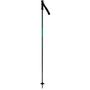 Electra Ski Poles - Womens