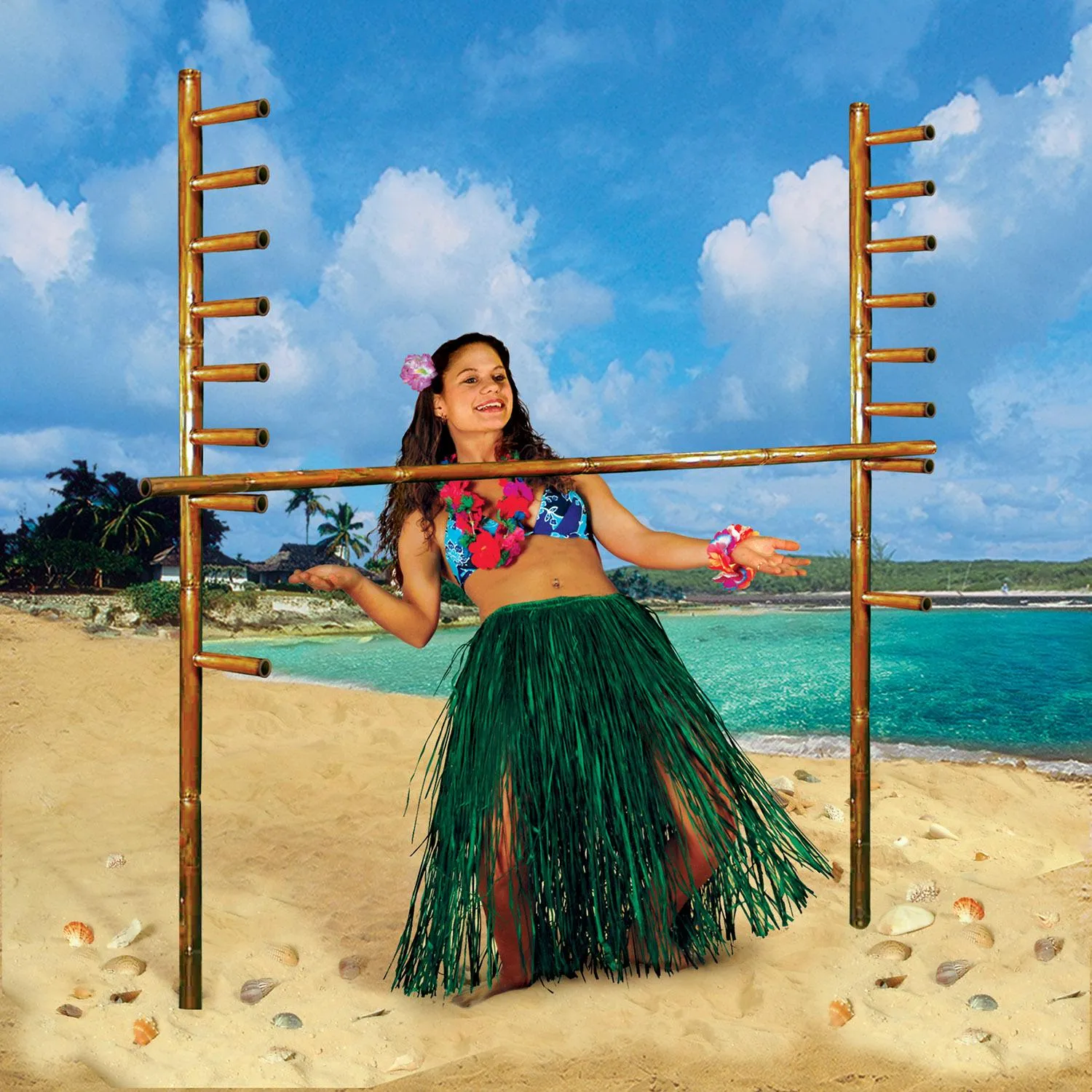 Luau Party Limbo Kit