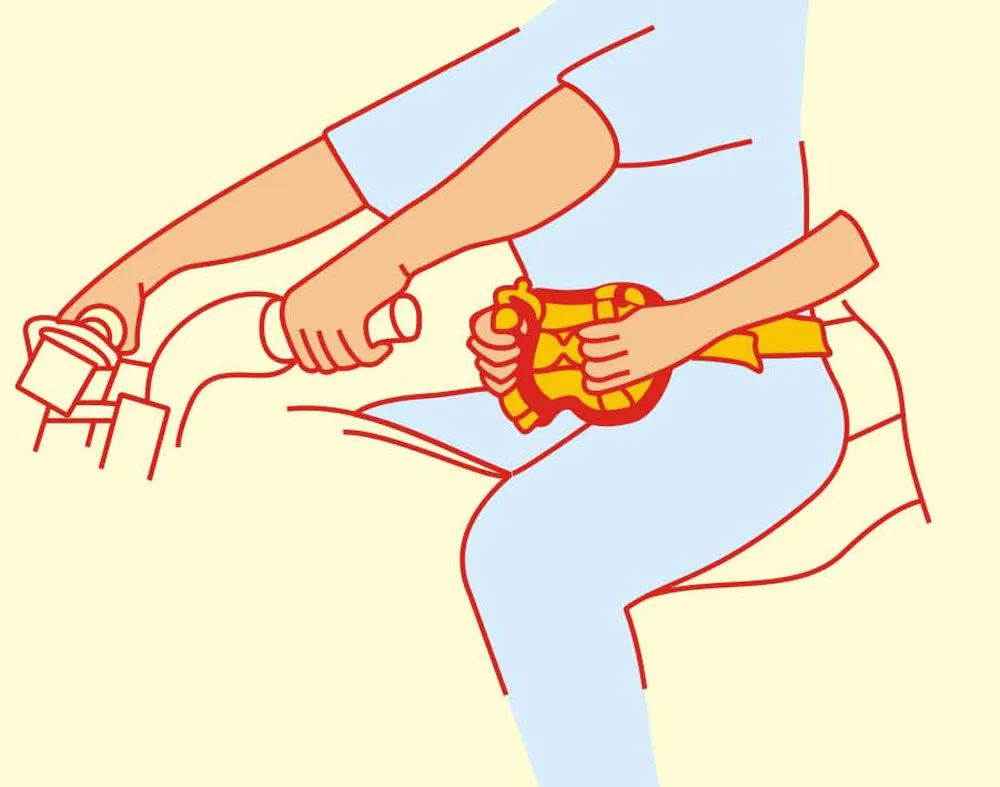 Passenger Grab Handles